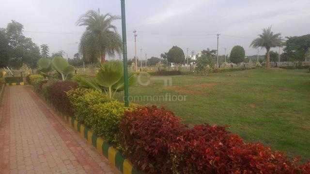 Green Elite Home - Landscape
