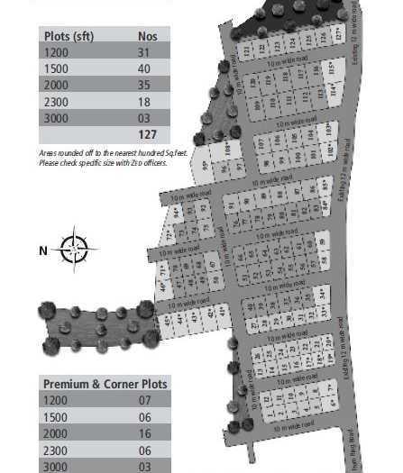 Zed Rainseed - Master Plan