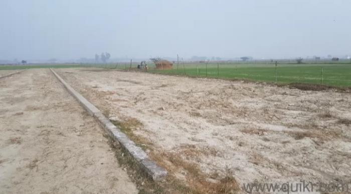 Index Paradise - Banner Image