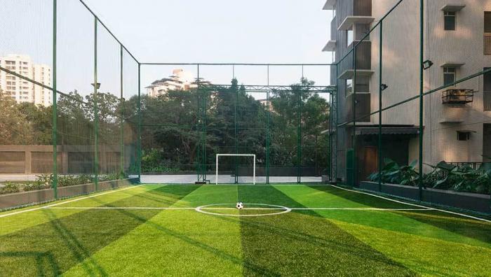 Courtyard Ivy - Foot ball