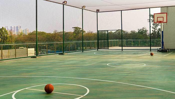 Courtyard Ivy - Basket ball