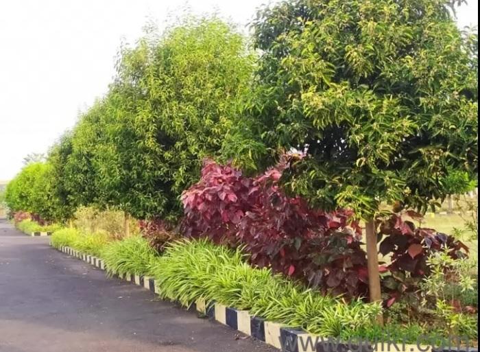 Surya Aditya Royal - Project Photo