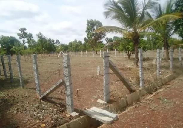 Brindavanam Resort Plot - Project Photo