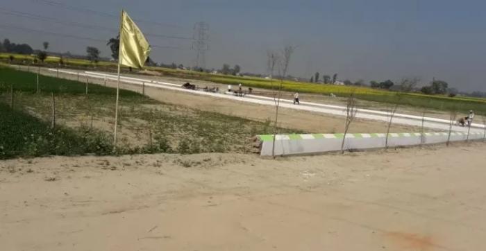 RSS Greens - Project Photo