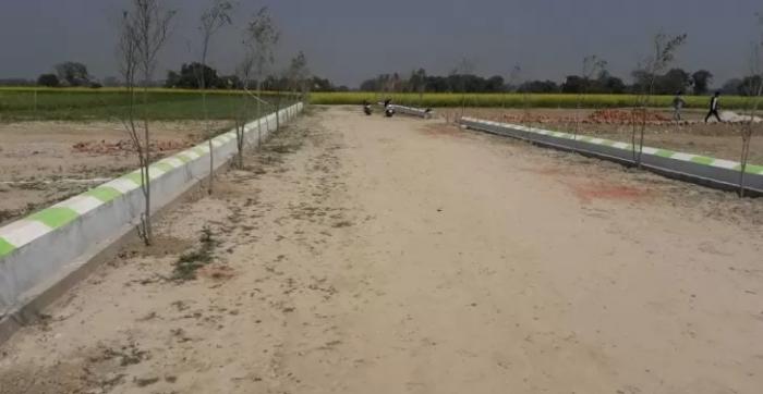 RSS Greens - Project Photo