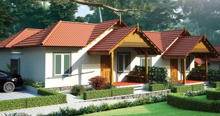 Alive The Rainbow - Project Photo