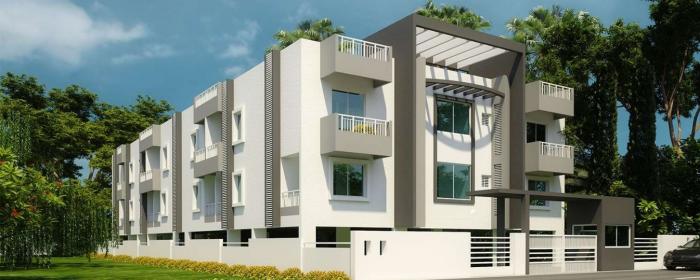 Vakil Rose - Banner Image