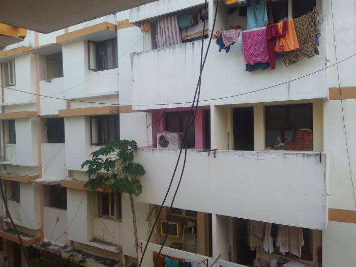 Nathan Complex - Banner Image