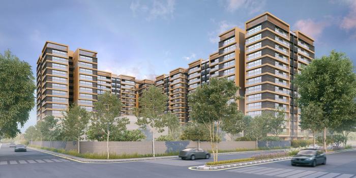 Siddhraj Zoey - Banner Image