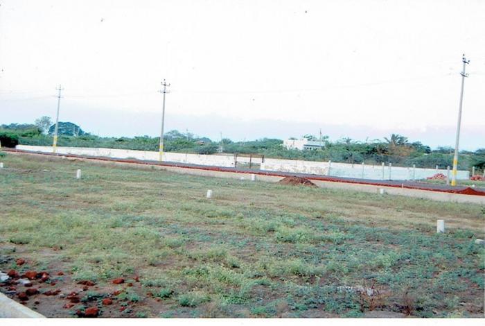 Teli Plots - Banner Image