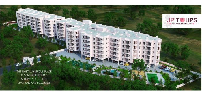 JP Tulips - Project Photo