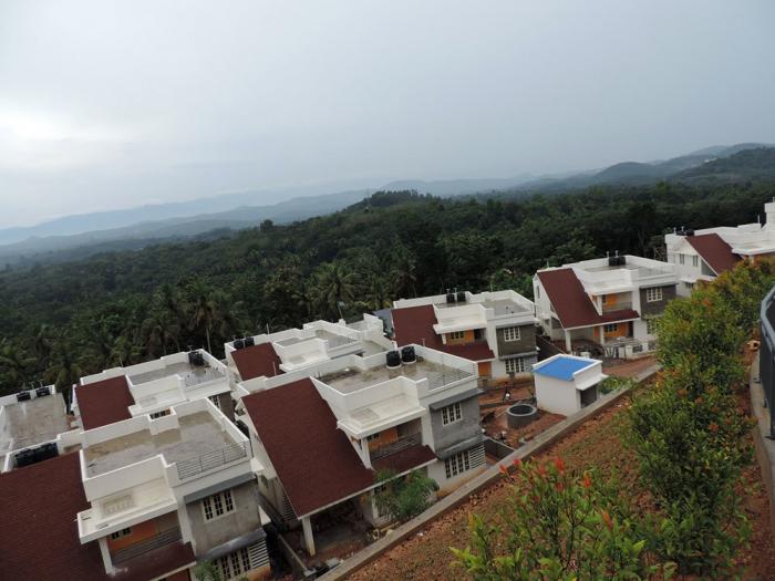 Favourite The Petals - Project Photo