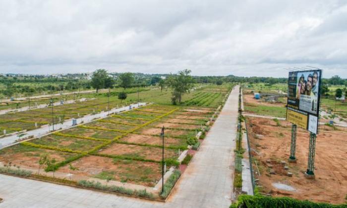 BVL Premio Phaser 1 - Project Photo