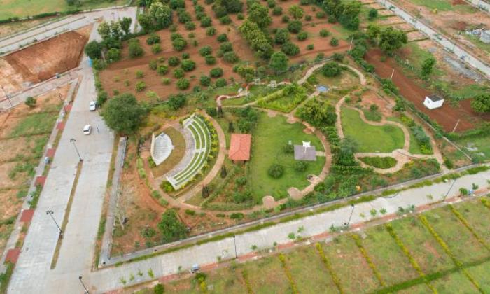 BVL Premio Phaser 1 - Project Photo