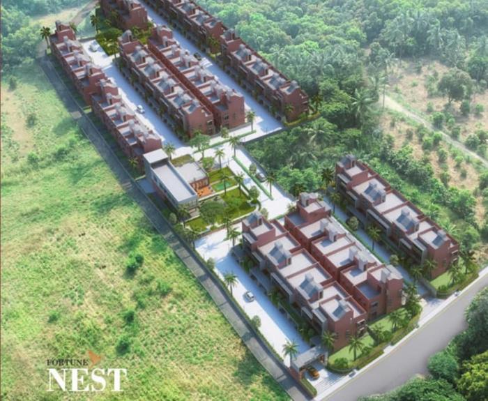 Fortune Nest - Project Photo