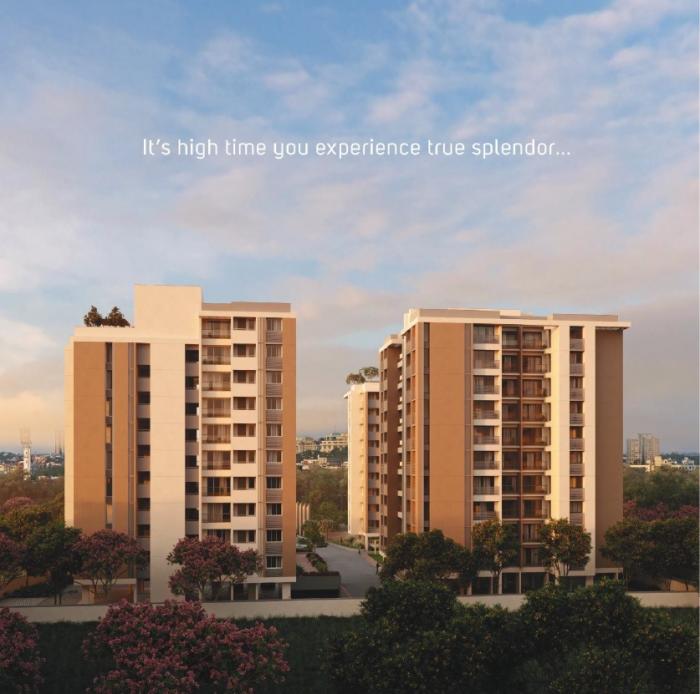 Vashi Irma - Project Photo