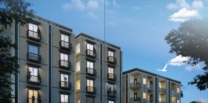 Silver Sky - Project Photo