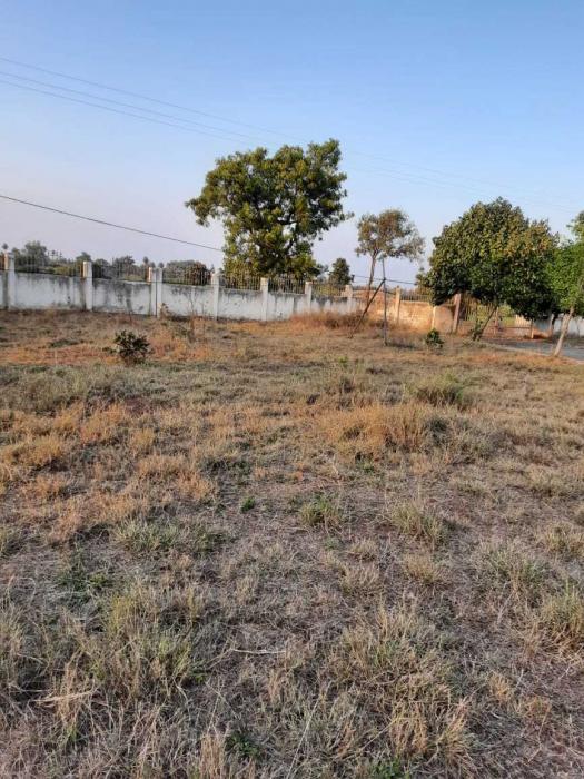 Mikula Achira Sangam - Project Photo