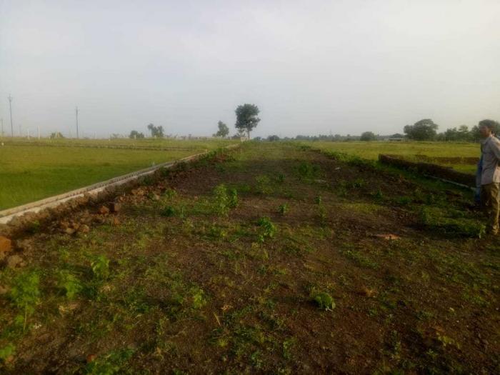 Diamond City - Project Photo