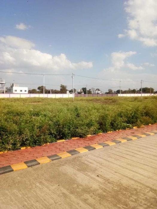 Shalimar Bagh - Project Photo