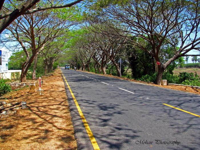 BLB Sree Jeeva Nagar - Project Photo