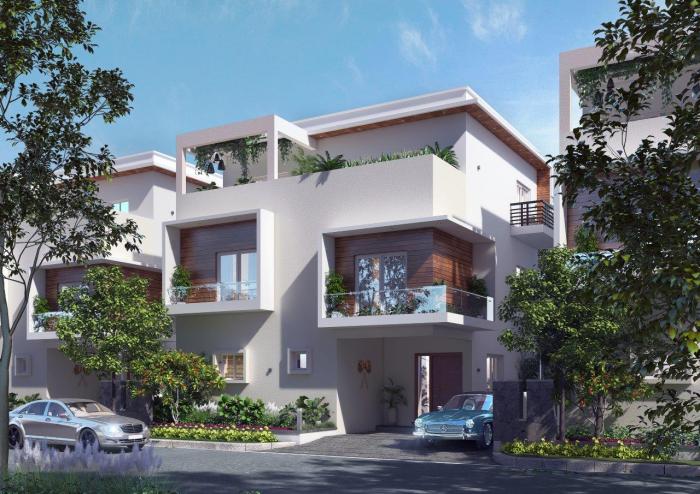 Vishal Sanjivini - Project Photo