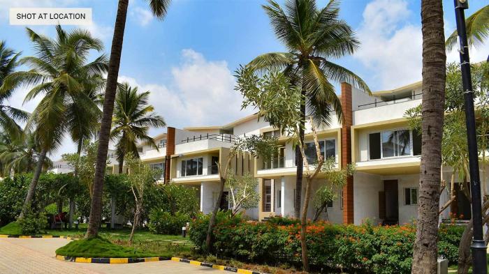 Renaissance Nature Walk - Banner Image