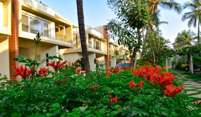 Renaissance Nature Walk - Project Photo