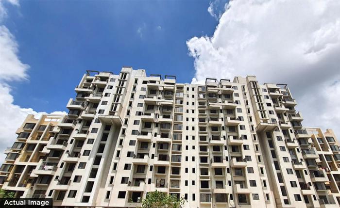 Ashar Grape City - Project Photo