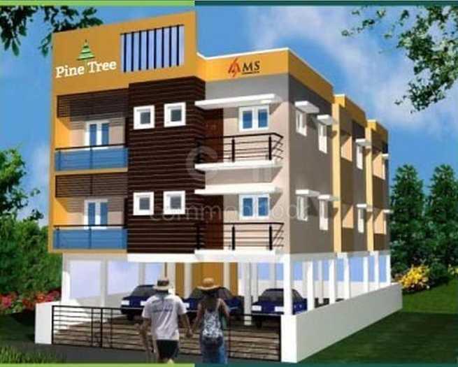 MS Foundations Pine Tree - Banner Image