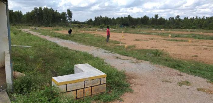 SR Serenity - Project Photo