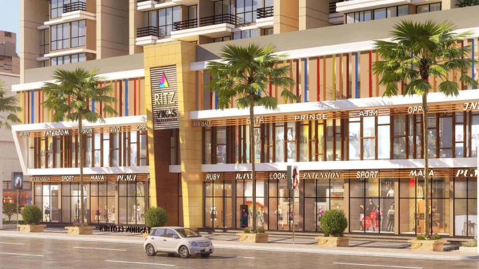 Vikas Ritz - Project Photo