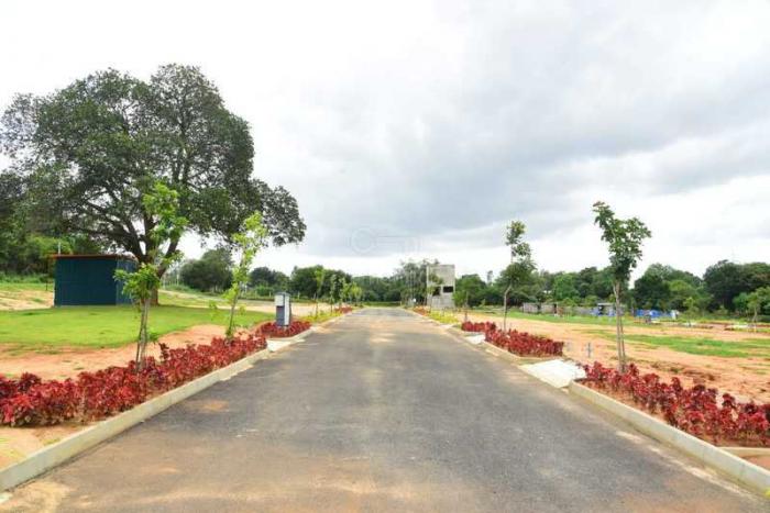 GHR Landmark Under The Tree - Project Photo