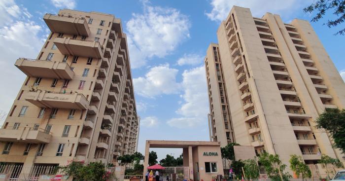 AEZ Aloha - Project Photo