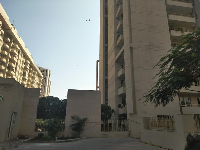 AEZ Aloha - Project Photo