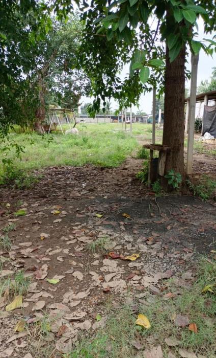 Krishna Park - Project Photo