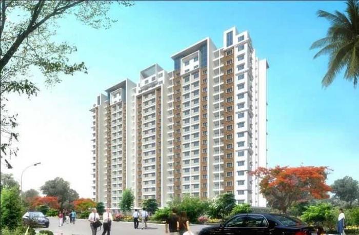 Doshi Risington - Project Photo