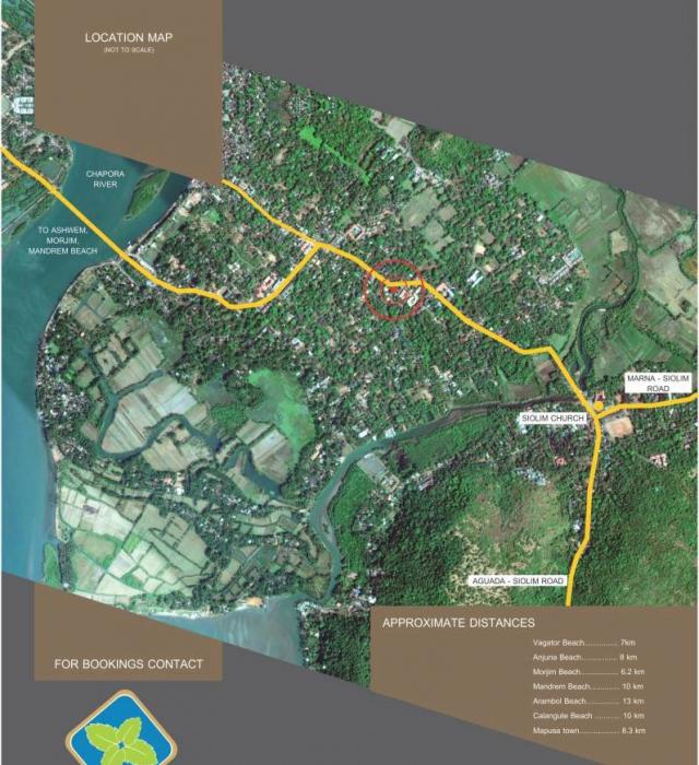 Mint Arcadia - Locality