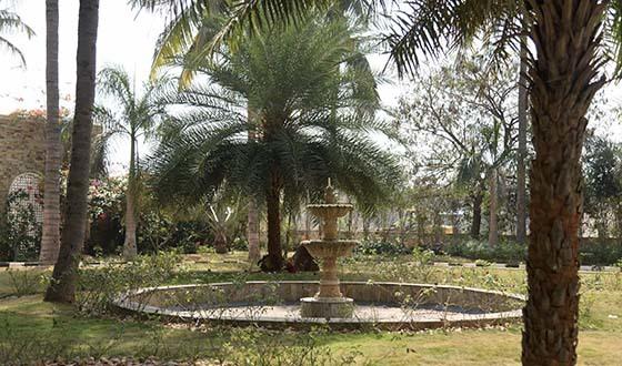 Cocoaldea Premio - Project Photo