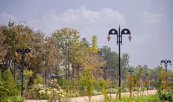 Cocoaldea Premio - Project Photo