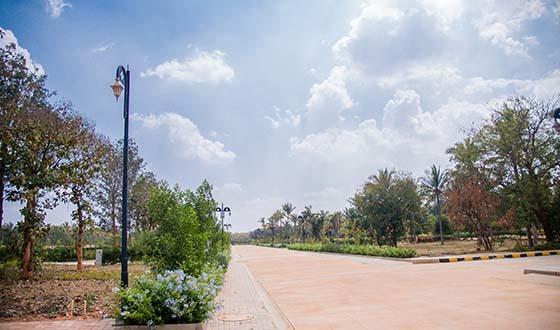 Cocoaldea Premio - Project Photo