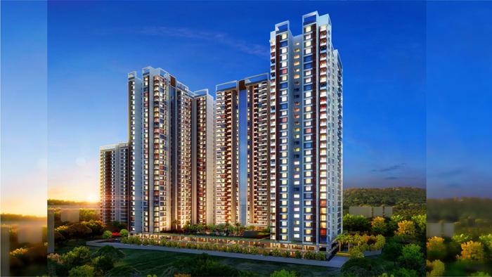 VTP Verve - Banner Image