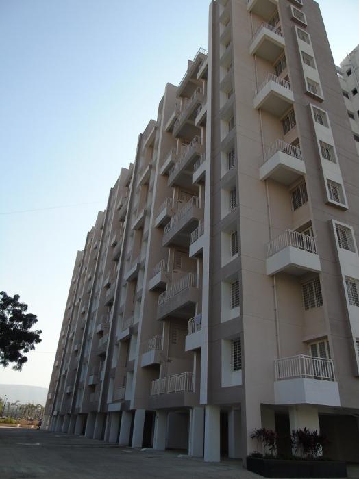 Dynamic Oasis - Project Photo