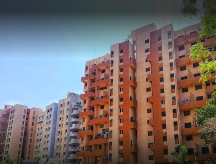 Solitaire Palms - Banner Image