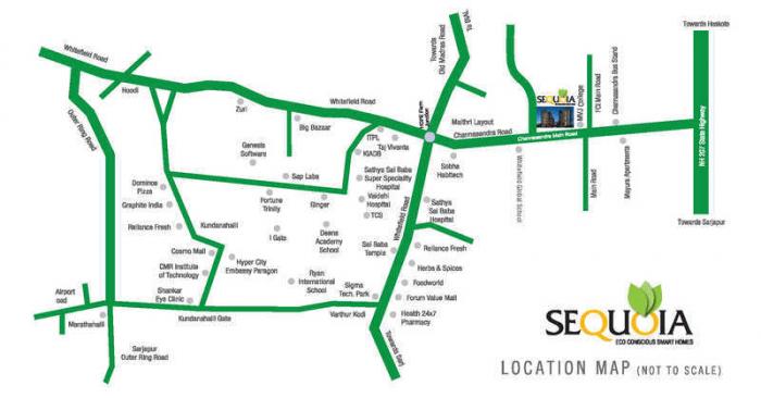 Marvel Sequoia - Locality