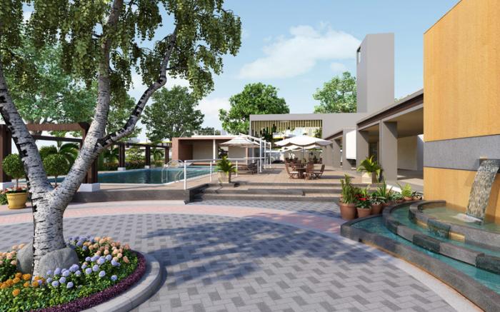 Sun Solace - Project Photo