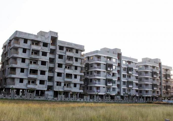 Noble Flora - Project Photo