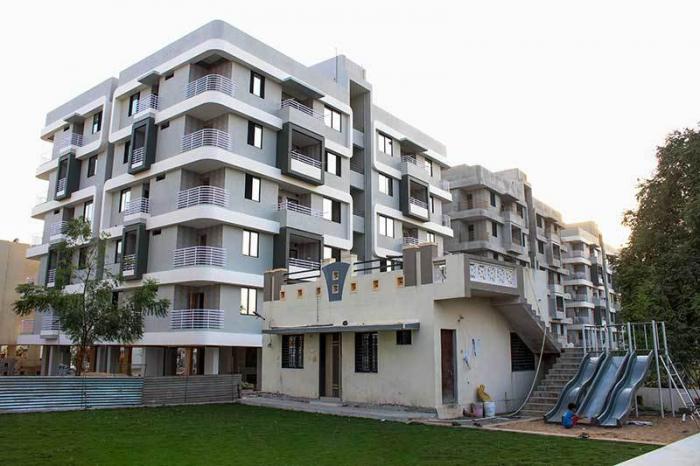 Noble Flora - Project Photo