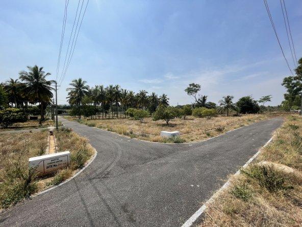 Dhatri Saraswathi - Project Photo