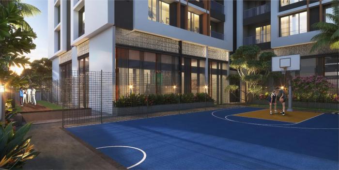 Zen Elite - Basket ball